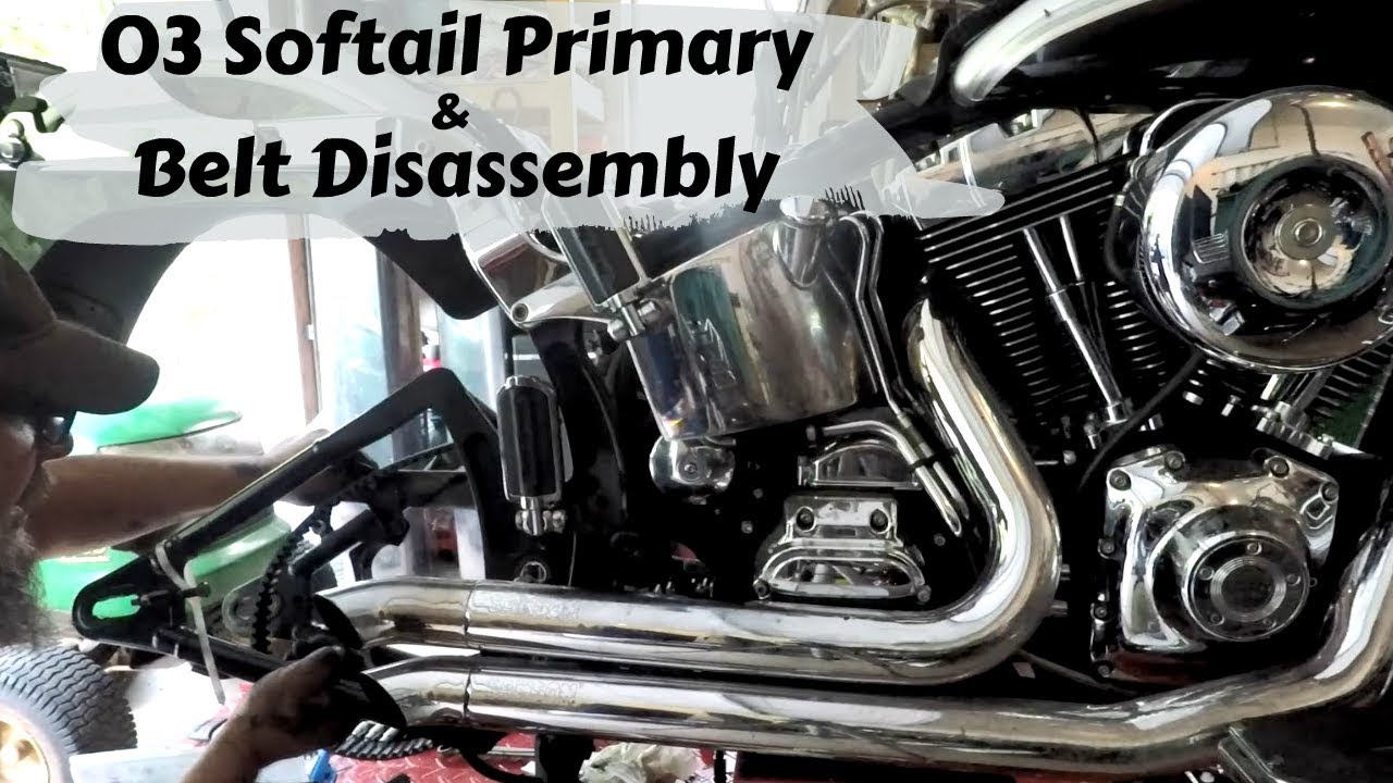 '03 Softail Primary and Swingarm Disassembly Project