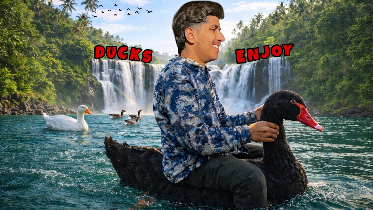 Ducks ki talab mein swimming karvai ||❤️
