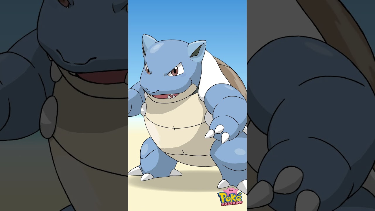 &eacute;volution anim&eacute;e de carapuce / squirtle 💦💦💦