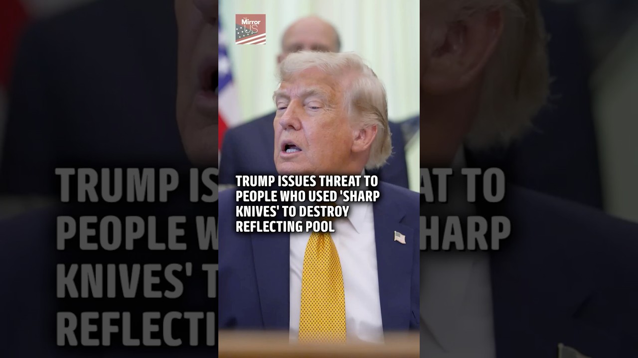 Trump issues threat to vandals who used 'sharp knives and muscle' to destroy Reflecting Pool