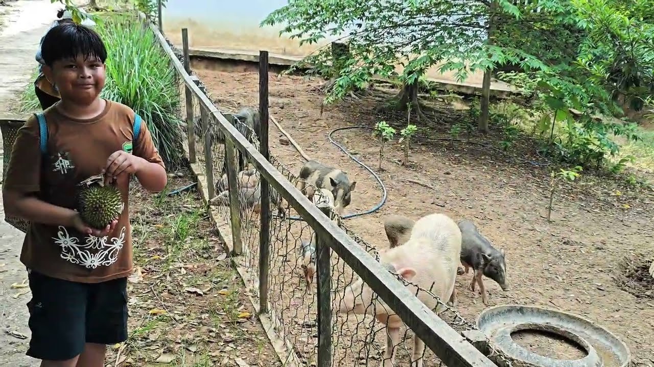 Dapat Durian Gratis di Kampung Dayak Yang Asri & Jauh di Pedalaman. 