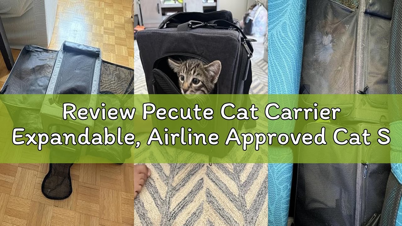 Review Pecute Cat Carrier Expandable, Airline Approved Cat Soft-Sided Carriers, Breathable Pet Carri