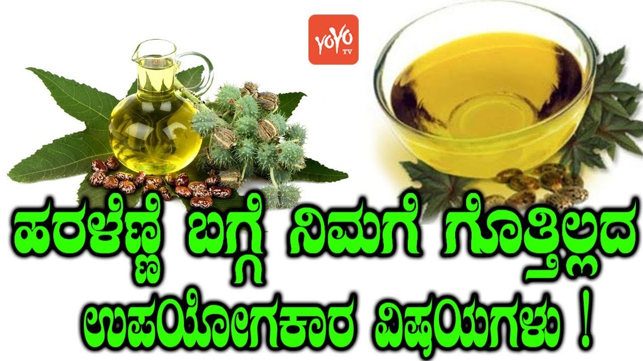 ಹರಳೆಣ್ಣೆ ಬಗ್ಗೆ ನಿಮಗೆ ಗೊತ್ತಿಲ್ಲದ ಉಪಯೋಗಕಾರ ವಿಷಯಗಳು ! Amazing Benefits Of Castor Oil YOYO TV Kannada