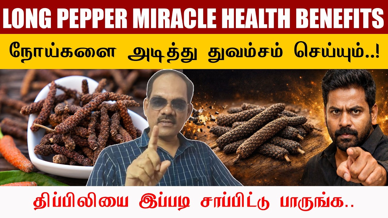 LONG PEPPER MIRACLE! 😱 நோய்களை அடித்து துவம்சம் செய்யும் திப்பிலை | சிறப்பு சிவா 🔥