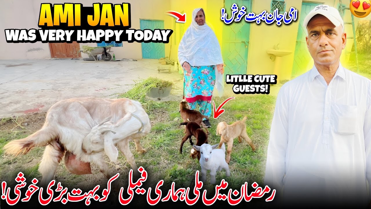 Ami Jan Was Very Happy Today 😍✨ Ramadan Mai Hamari Family Ko Great News Mili | Humare Ami Abu
