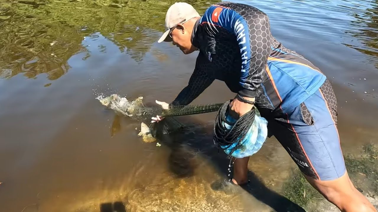Aquantidade de peixe aqui é surreal 