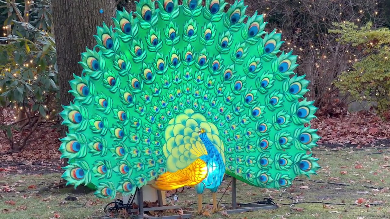 FULL Bronx Zoo Holiday lights walking tour an review 