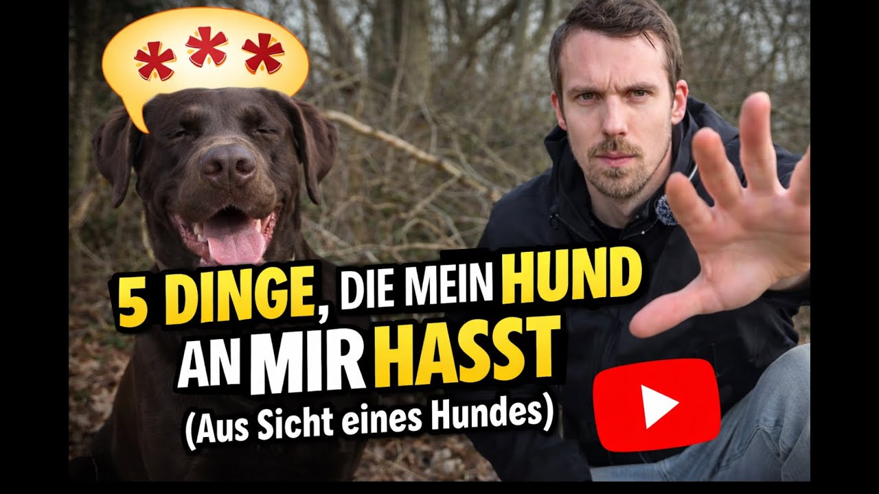 5 Dinge, die mein Hund an mir HASST (Aus Sicht meines Labradors) 😡👀