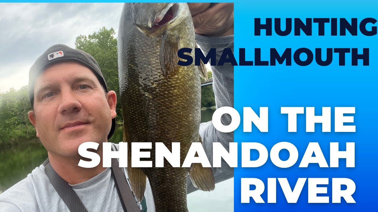 Smallmouth Bass Fishing on the Shenandoah River (South Fork)