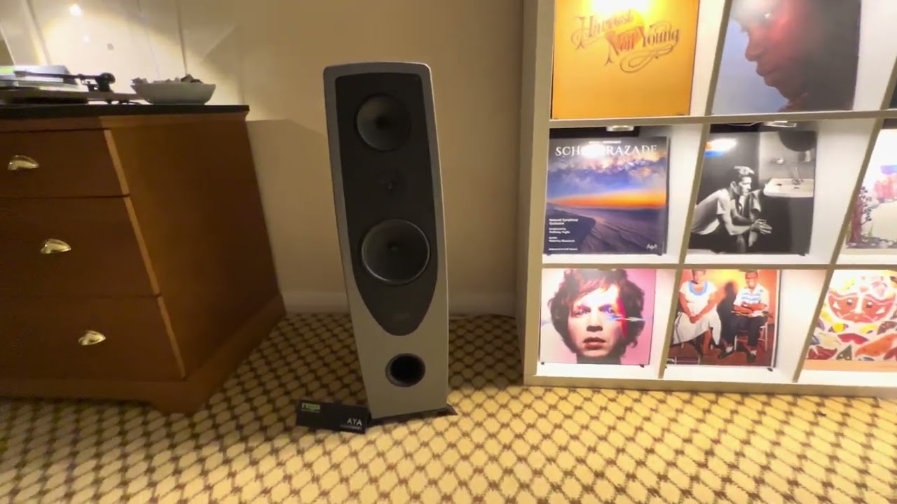 Rega Planar 6, Rega Aya