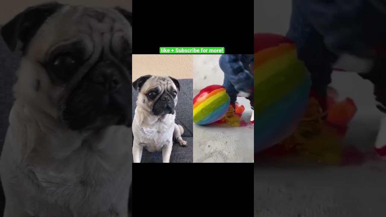 Reacting to tiny Feet stepping on random objects part 4 #shorts