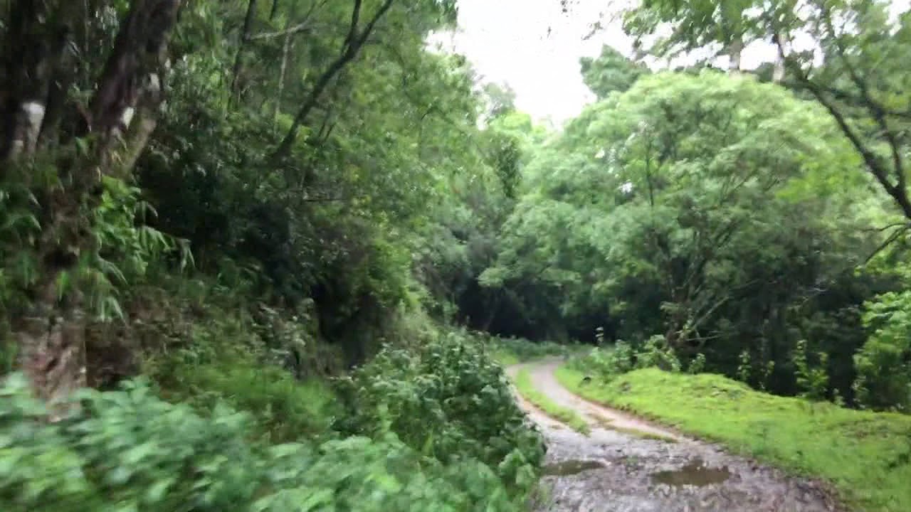 Silent Valley National Park, Palakkad, Kerala, India