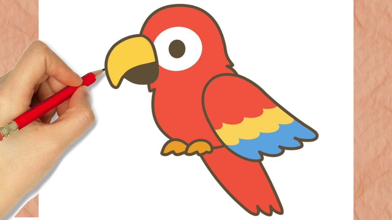 Cómo dibujar un Lindo Guacamayo