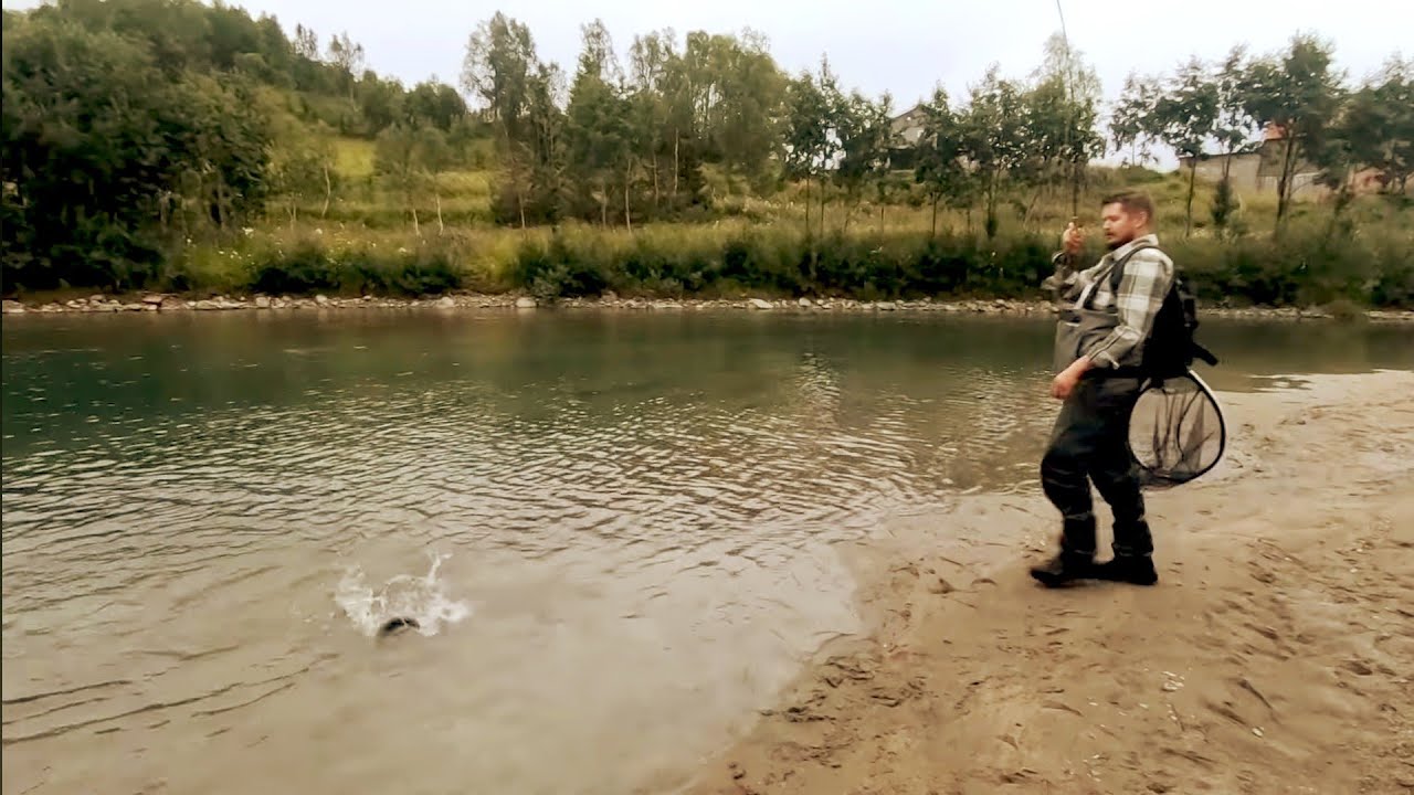 Zlał mi düpé muchówką! Łososiowa rzeka cz.2