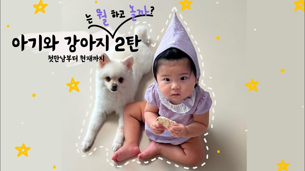 애개육아 1년차 / 아기랑 강아지는 이렇게 놀아요! / 아기랑 강아지 모음집 2탄