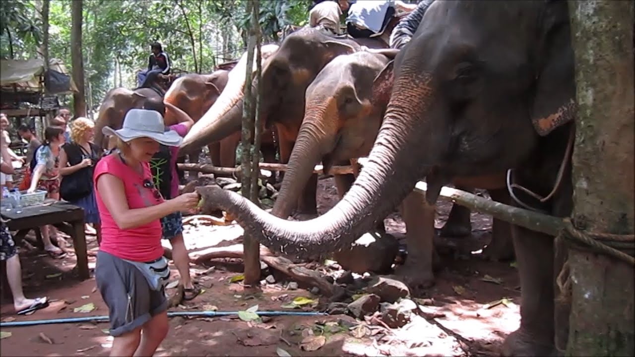 Thailand en Cambodja 2011