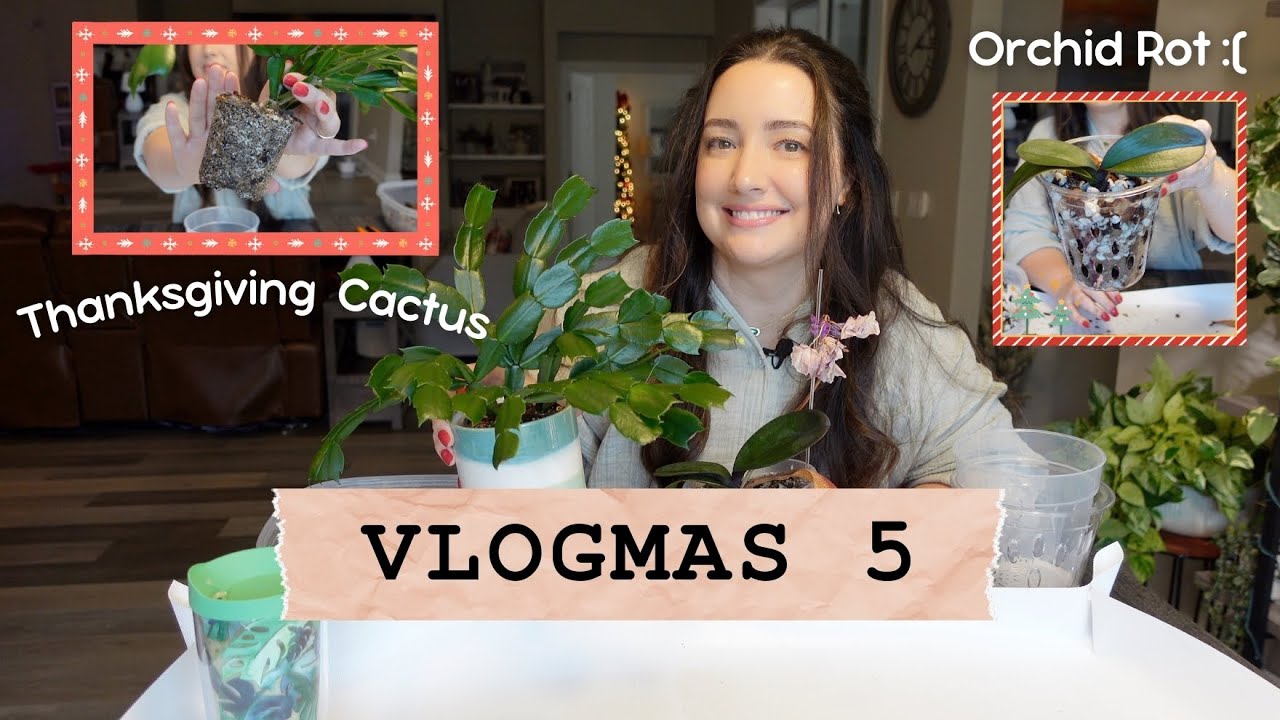 Vlogmas Day 5 | A Orchid Rehab & Thanksgiving Cactus Repot 🎄🌿