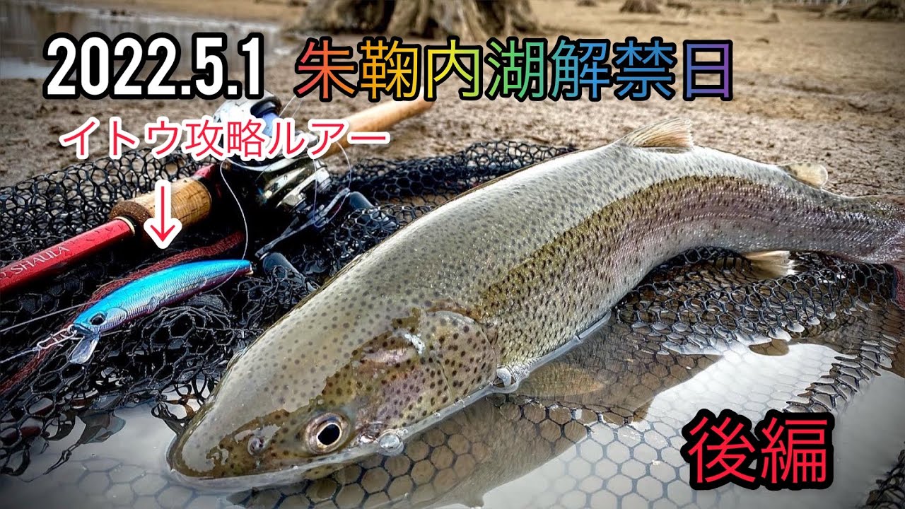 【朱鞠内湖 イトウ】イトウの群れが接近⁉️水面爆発の連続#朱鞠内湖 #イトウ#北海道 #釣り #トラウト #アメマス #サクラマス#duo #duofuduocai