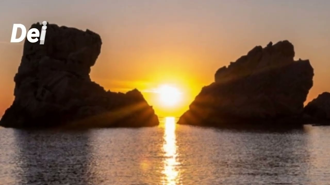 Immersione - Relitto del Potho - Spiaggia delle due Sorelle - Numana (AN) - 09 Luglio 2023