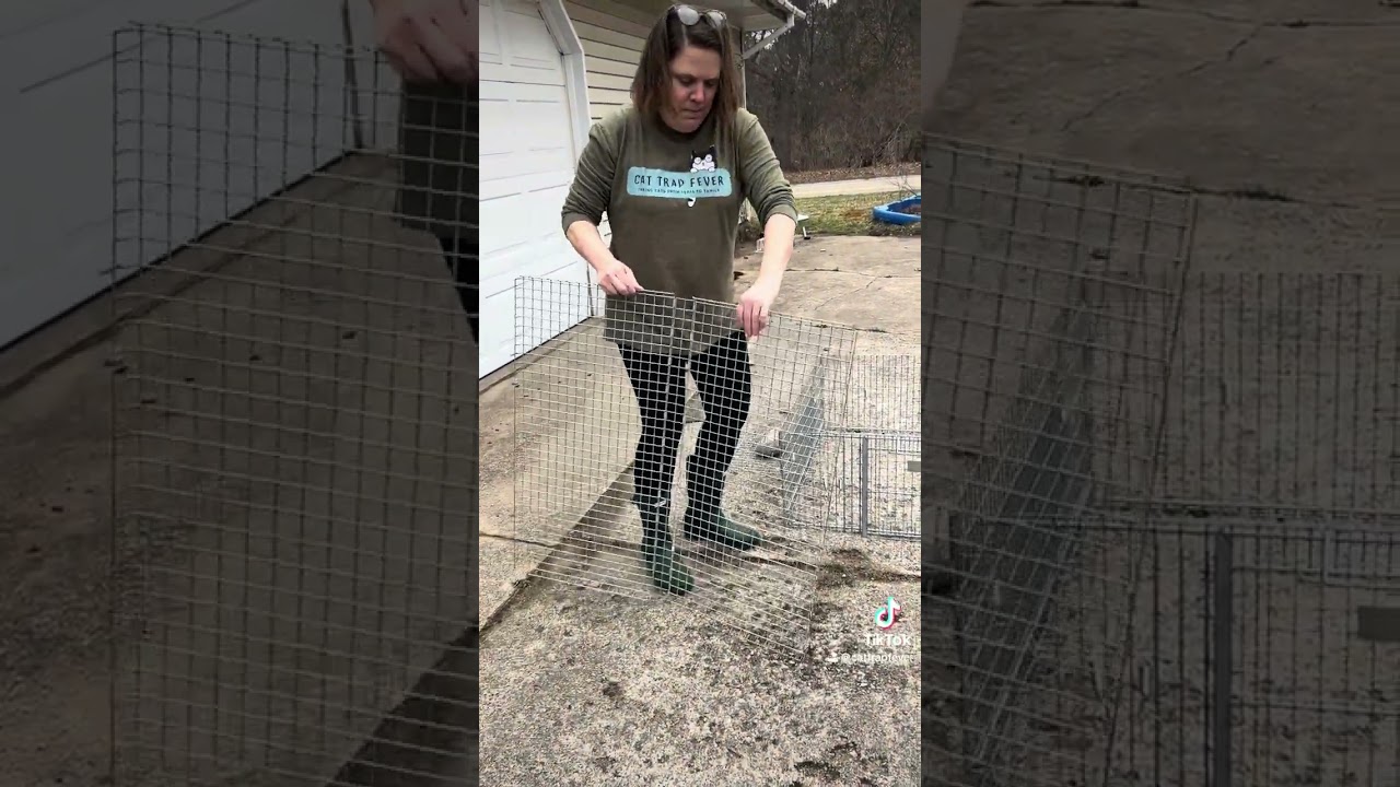 How to use a drop trap and transfer cage to catch a feral cat 🐈‍⬛