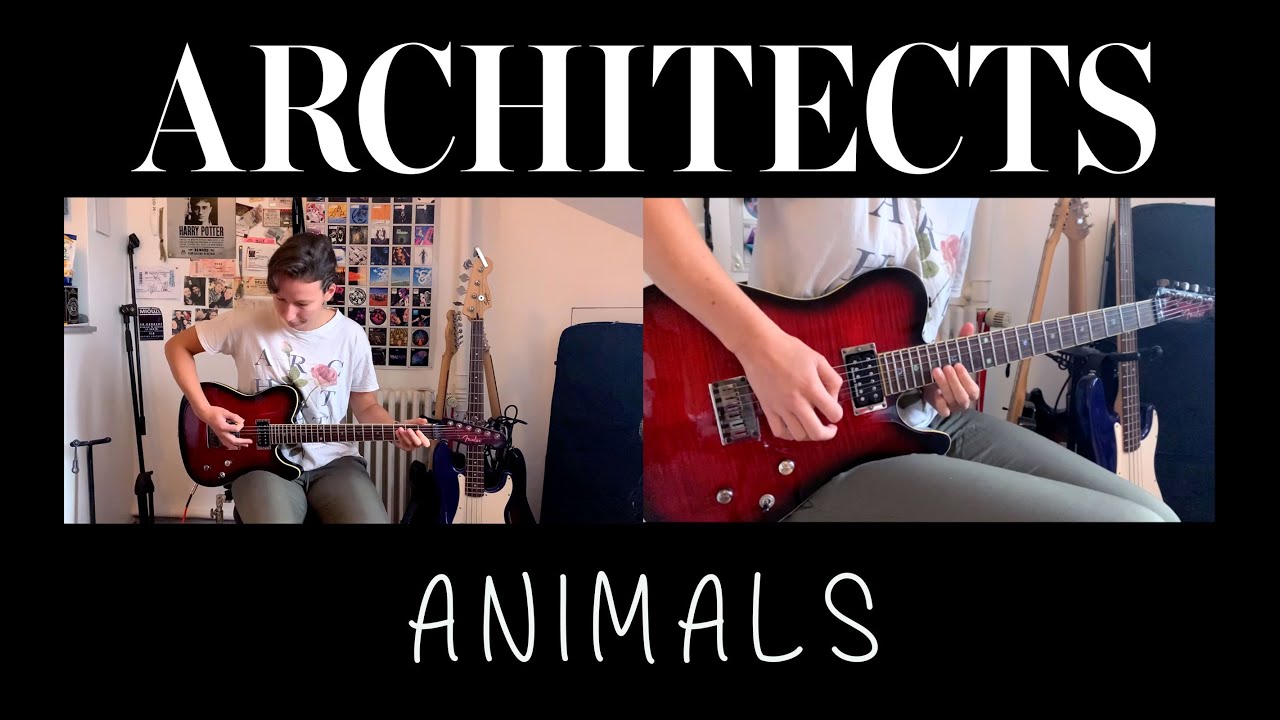Architects - Animals | Guitar Cover