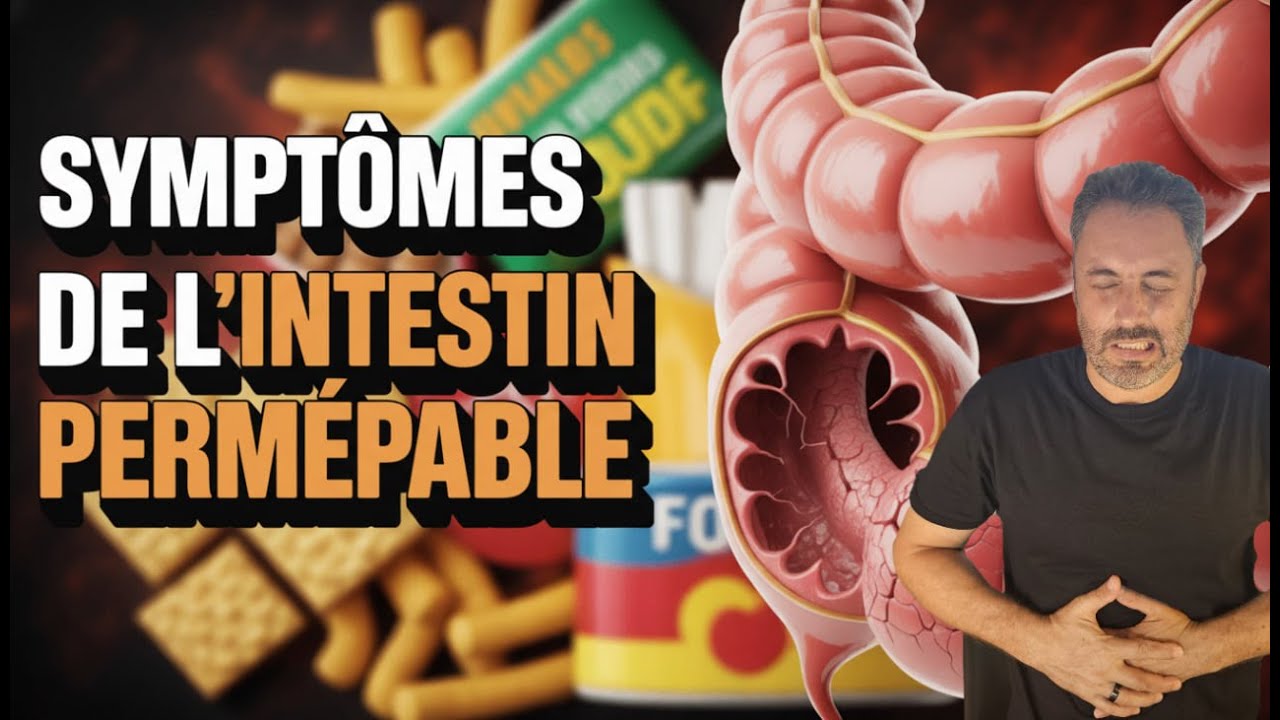 Intestin PERM&Eacute;ABLE?  Causes, Sympt&ocirc;mes et Solutions