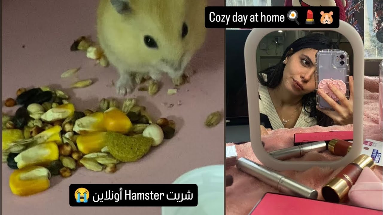 يوم من حياتي كطالبة خارج المغرب 🧁💄 + مفاجأة آخر النهار 🐹