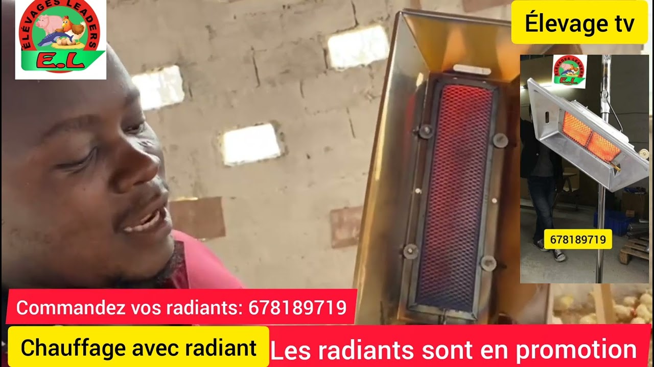 CHAUFFAGE DES POUSSINS RADIANT