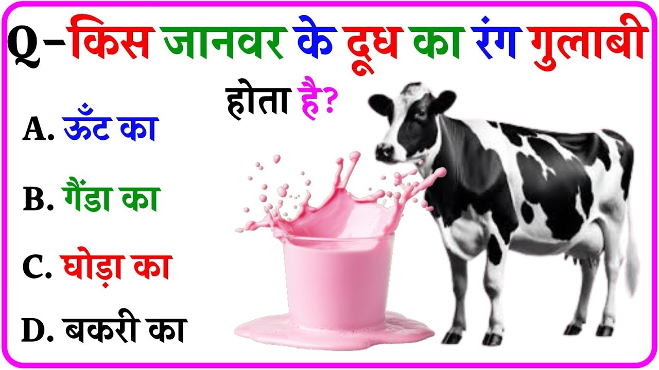 Gk Questions || Gk In Hindi || Gk Video || Gk Questions and Answers || Gk Quiz || Gk ke Sawal