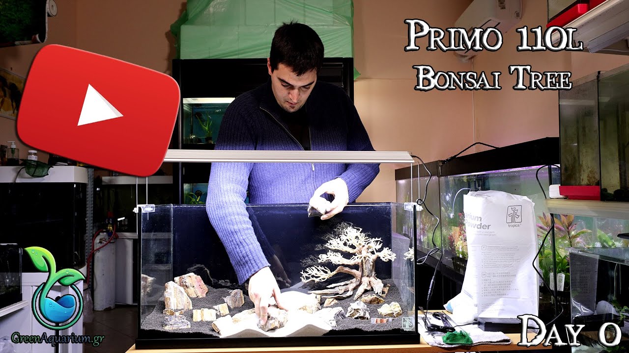 GreenAquarium.gr - Ενυδρείο 110L - Hardscape με bonsai tree