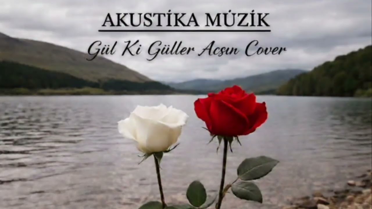 Gül Ki Güller Açsın Cover AKUSTİKA MÜZİK 