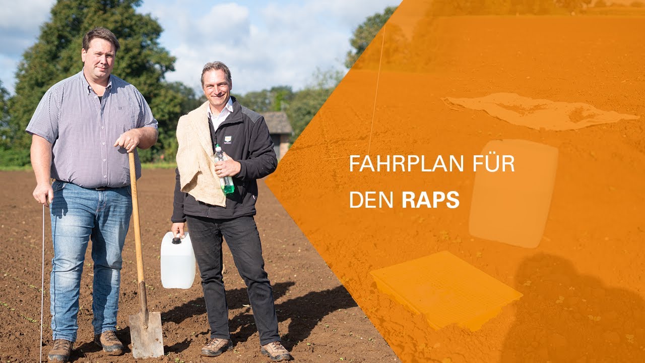 Fahrplan für den Raps