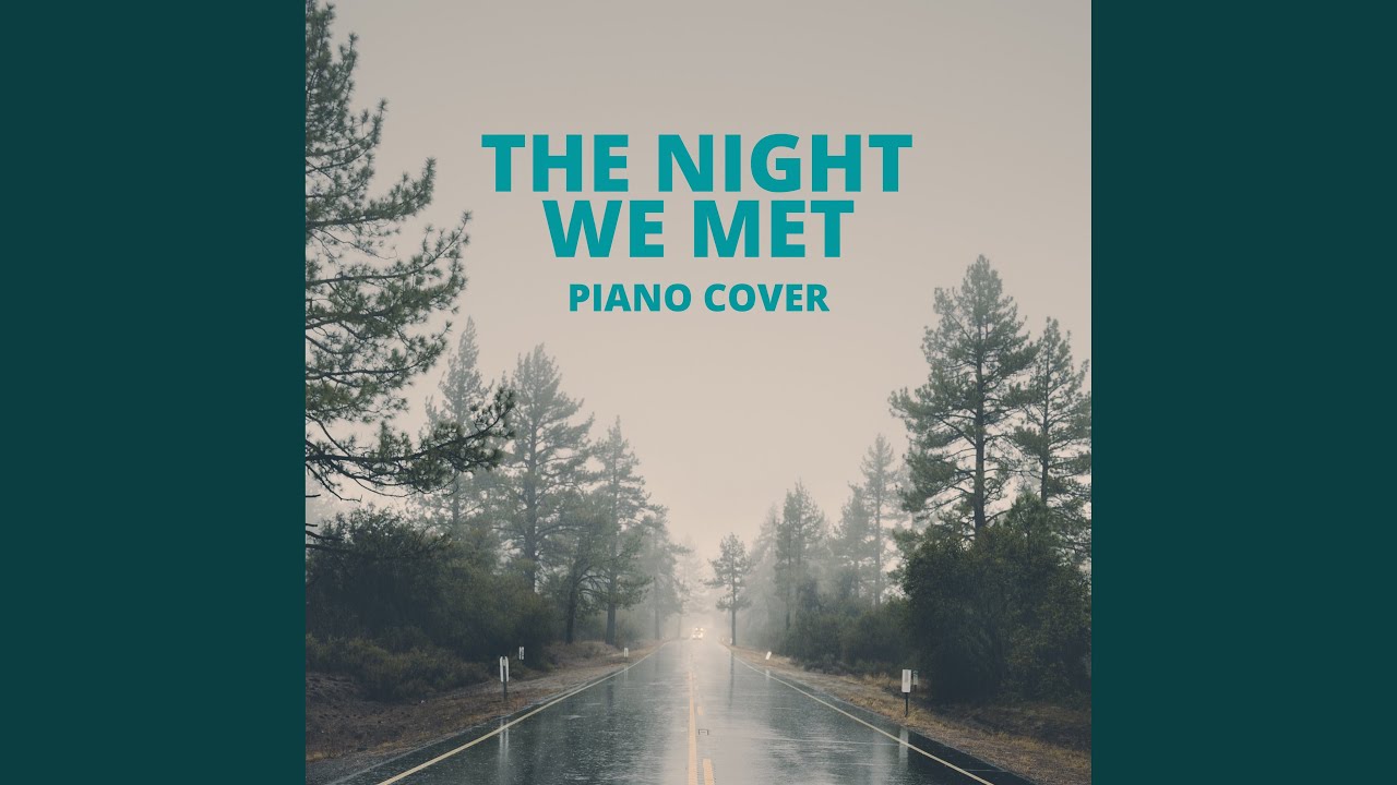 The Night We Met (Piano Cover)