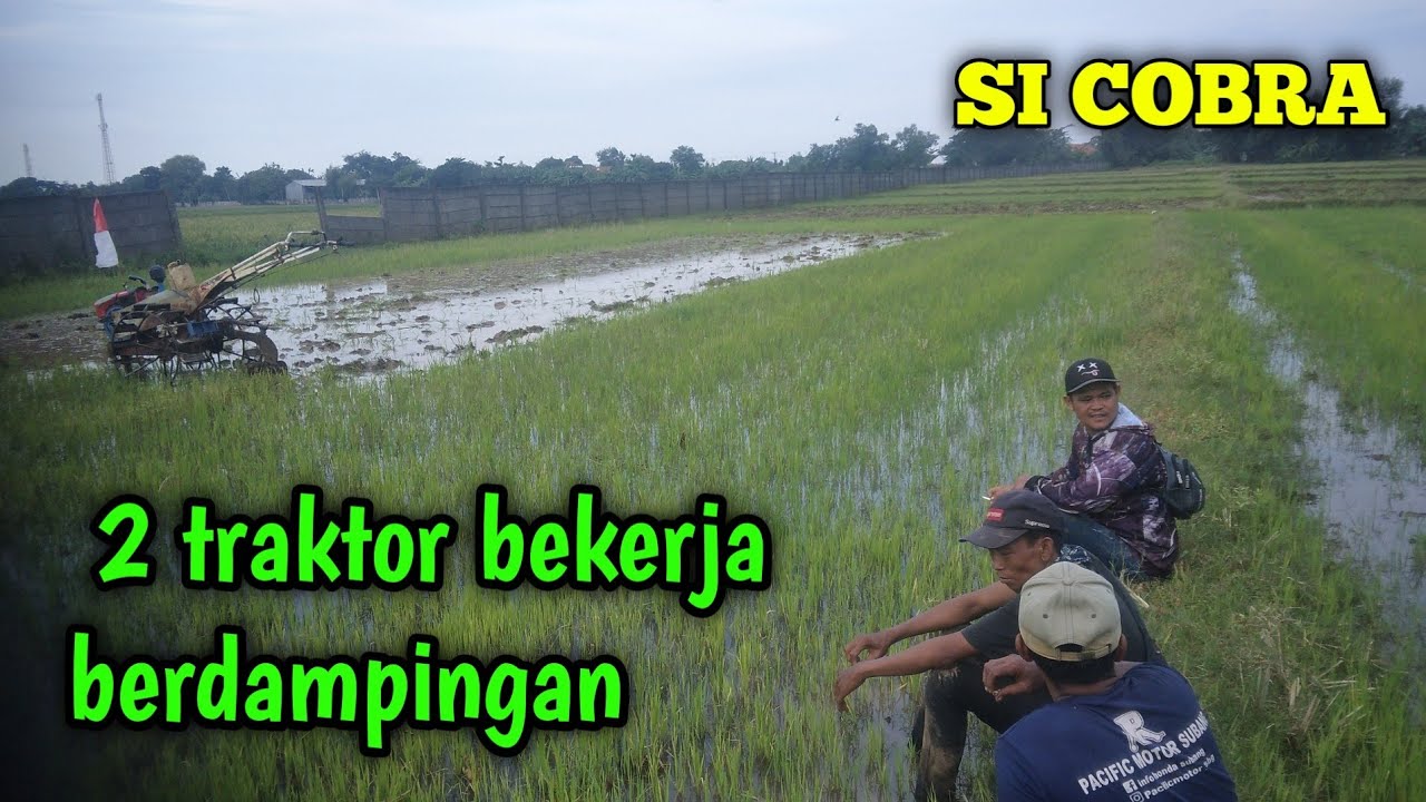 TRAKTOR SAWAH !! lanjut nyinkal setelah rehat siang
