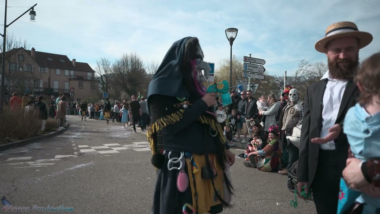 Carnaval de Saverne 2025 #saverne #carnaval2025 #carnaval #carnavalsaverne #einhorn