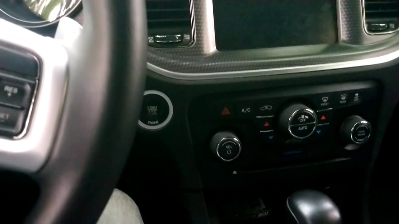 echo auto review V2