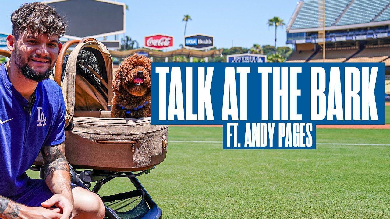 Talk at the Bark with Andy Pages | Presented by TAVO