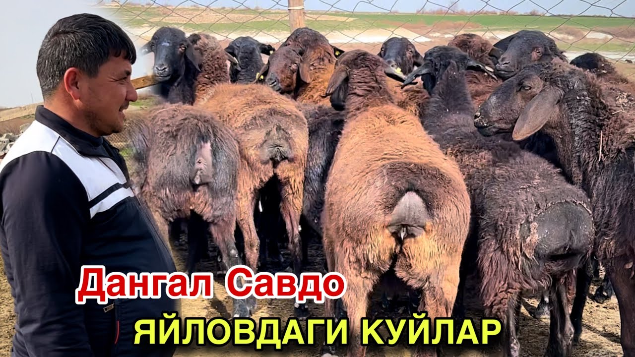 Еркак Булиш Керак! ☎️+998 88 672 8998