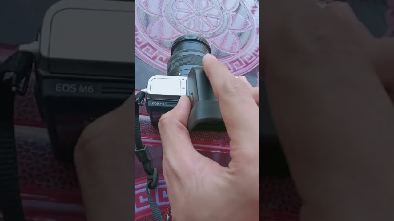Review Viewfinder Canon EVF DC 1