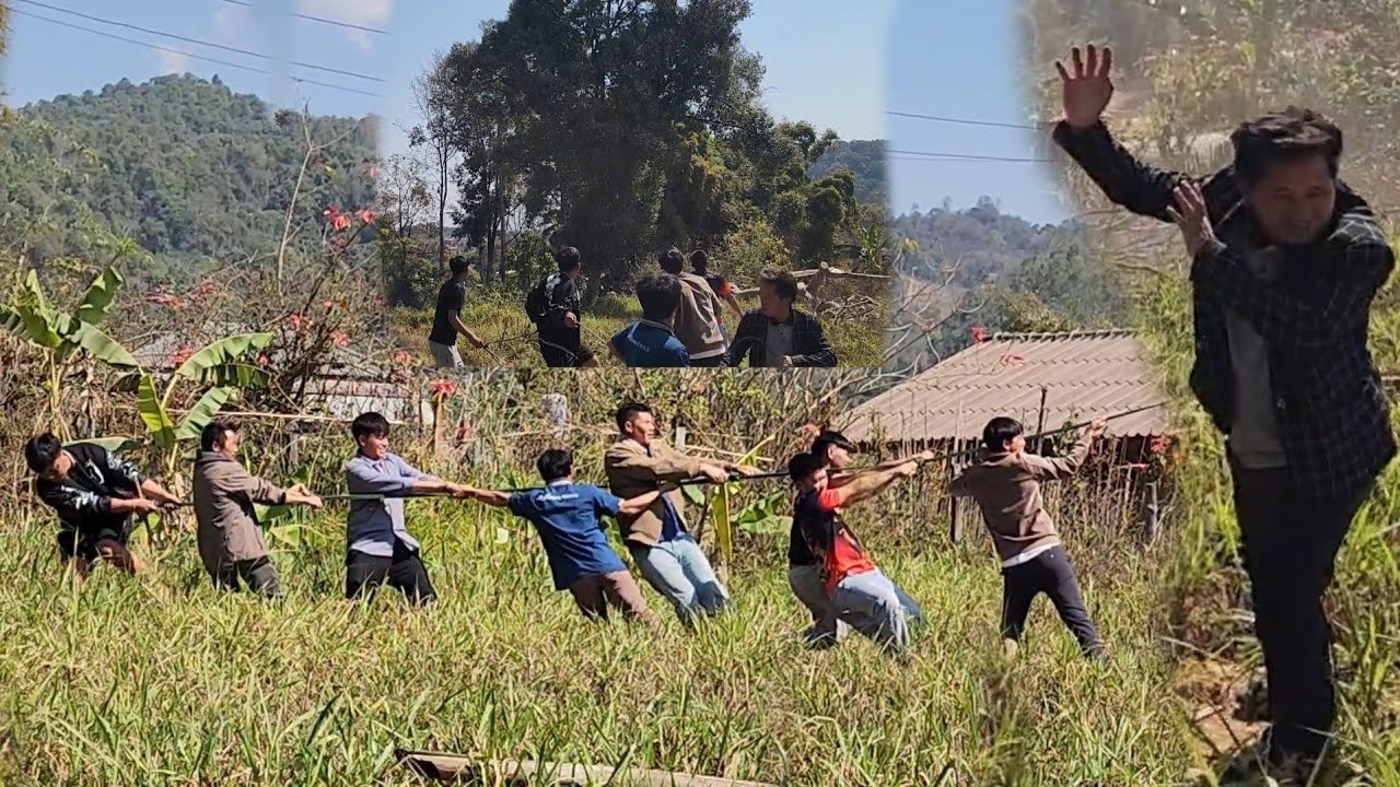 Thov kwv tij sib pab rub ntoo 
