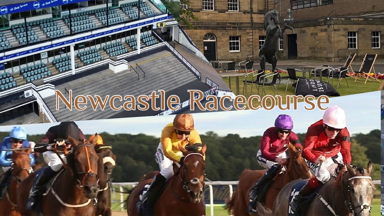 #Newcastle #Racecourse 🏇