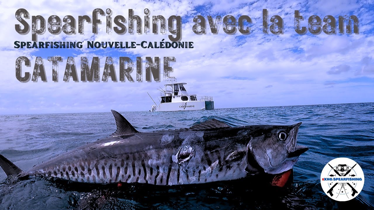 Spearfishing avec la team CATAMARINE et les copains