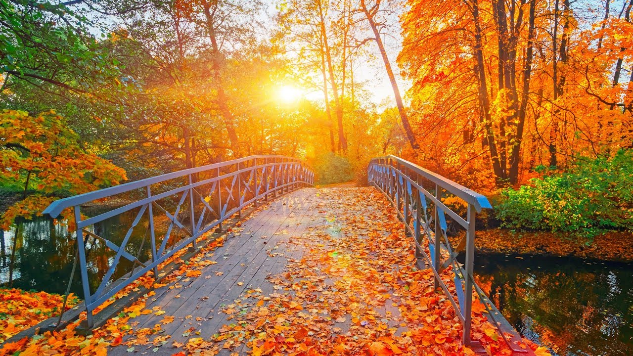 The First Day of Autumn, Acoustic Guitar instrumental Indie/-Folk Relaxing Music, New England Autumn