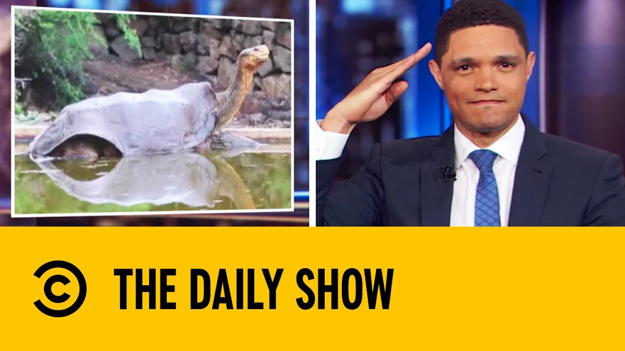 Sex Marathon Saves A Tortoise Species From Extinction | The Daily Show With Trevor Noah