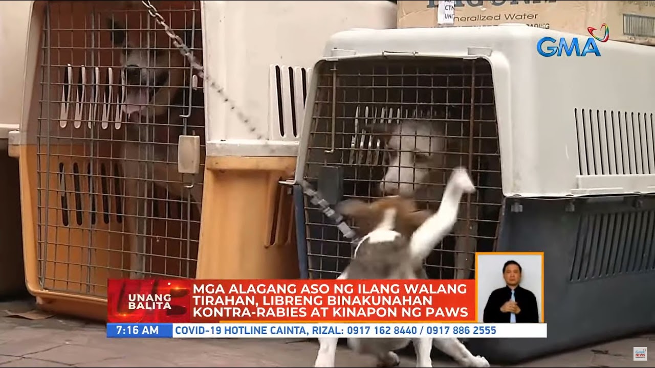 International Homeless Animals Day - Unang Hirit Coverage 08252021