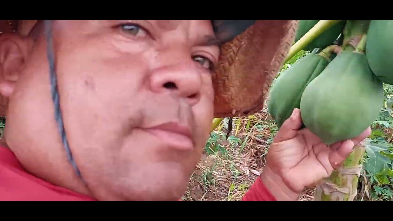 Chácara Serra Verde Anapu