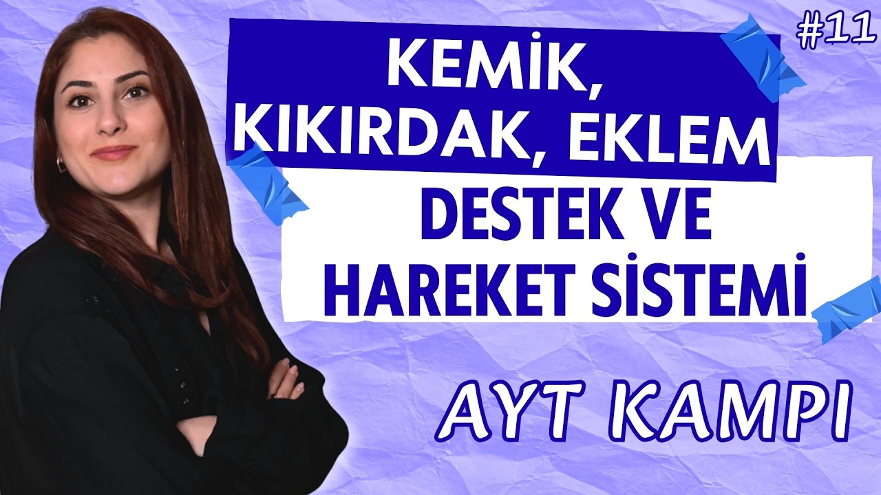 11) AYT 2026 BİYOLOJİ | KEMİK KIKIRDAK EKLEM | DESTEK VE HAREKET SİSTEMİ 1 | ADIM ADIM ZİRVEYE