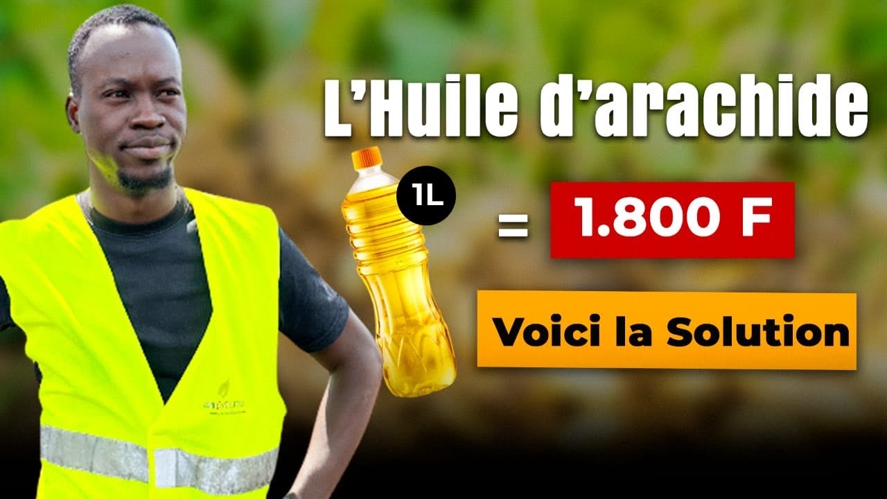 Voici les vrais raisons de la cherté de l’huile d’arachide au BENIN 🇧🇯