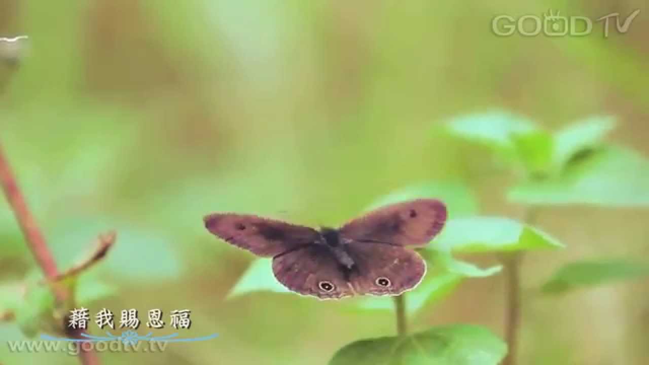 鳴石聖樂團 - 藉我賜恩福