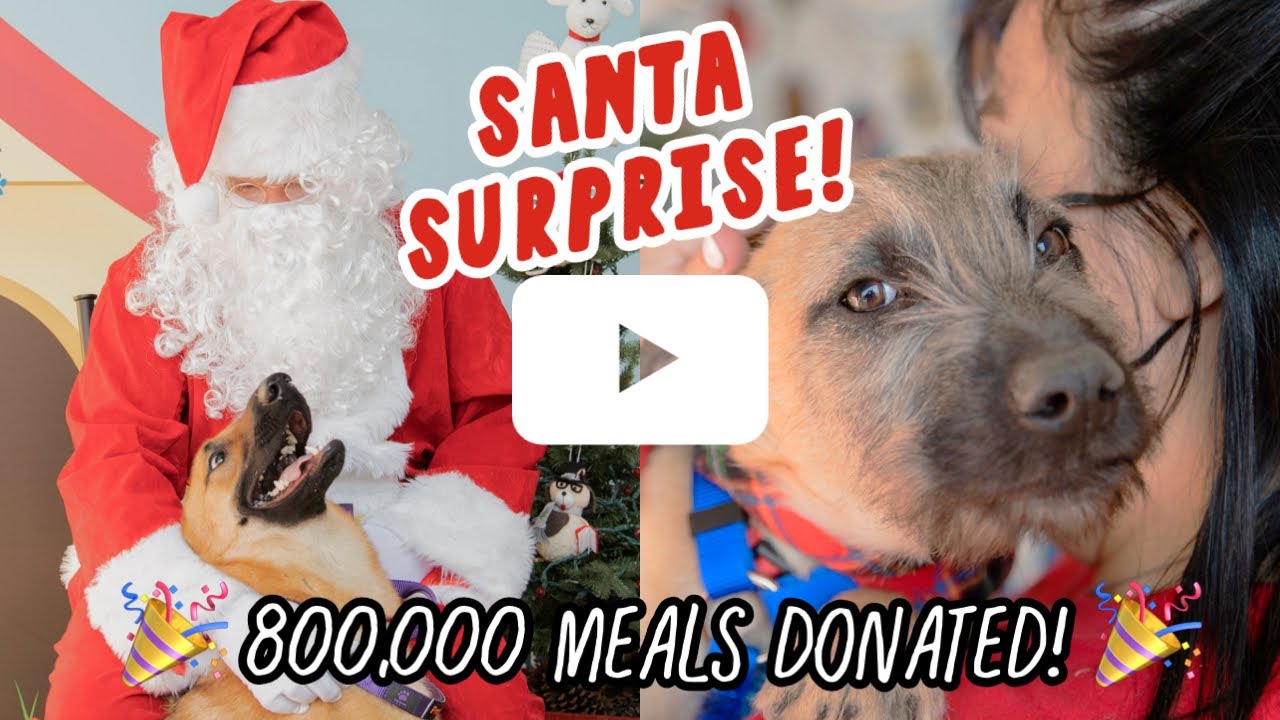 🎅🏻 Santa SURPRISES Shelter Dogs with 800,000 Meals! 🐾